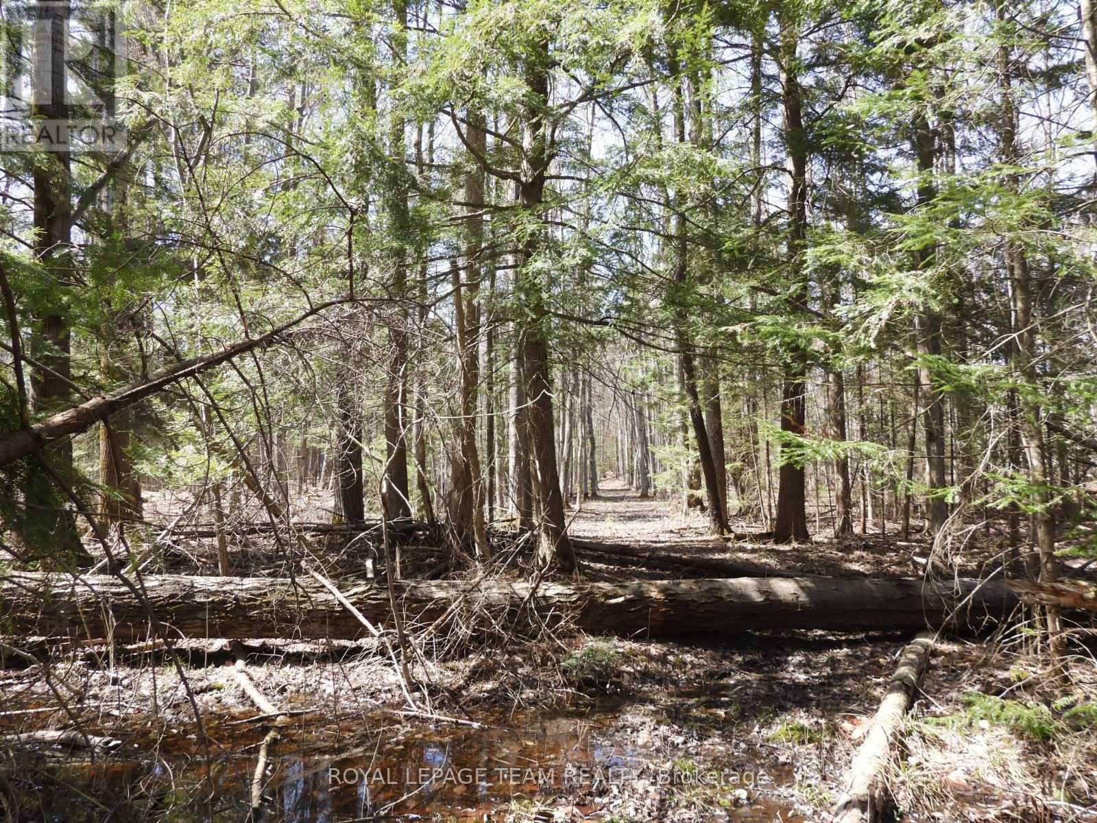 Property at 0001 GALETTA SIDE ROAD image 4