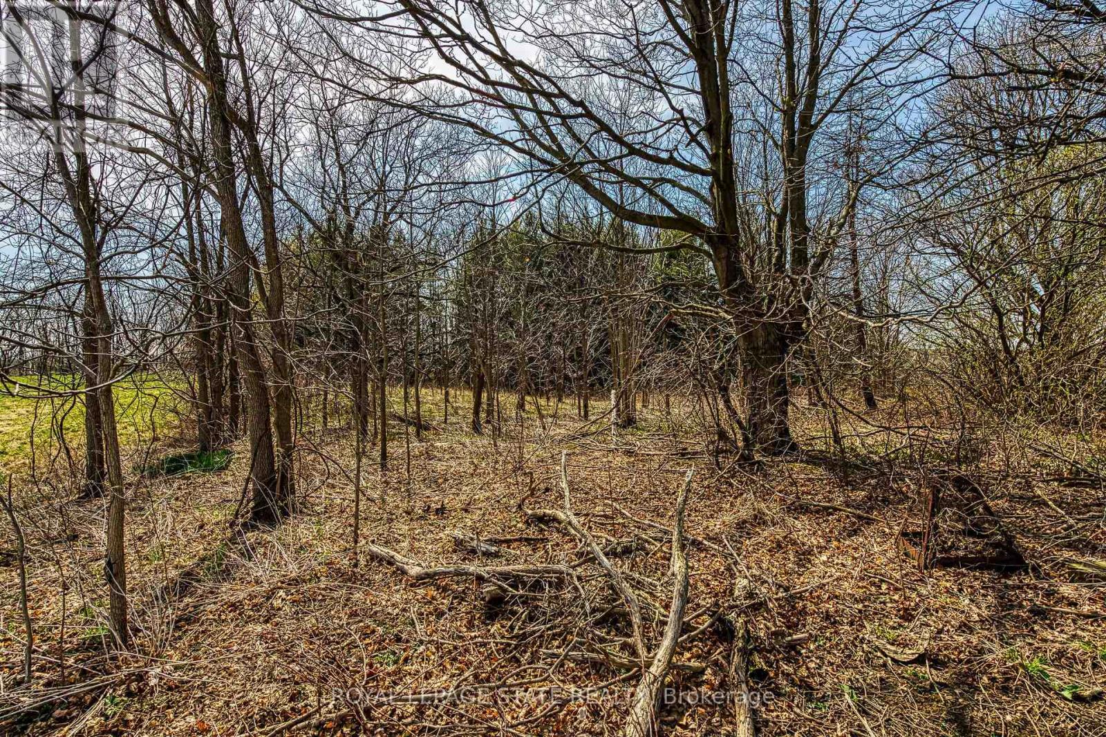 521 Baptist Church Road, Brant (Brantford Twp), Ontario  N3W 2G9 - Photo 27 - X12114822