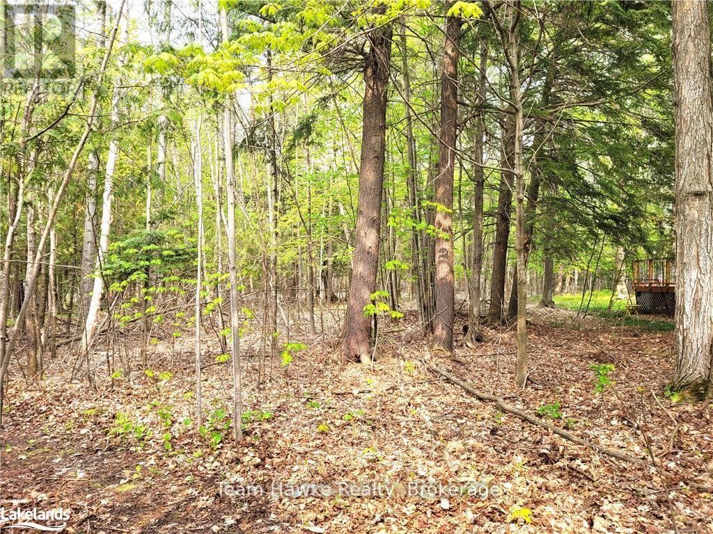 Lot 504 Seneca Crescent, Tiny, Ontario  L9M 0C9 - Photo 2 - S12115344