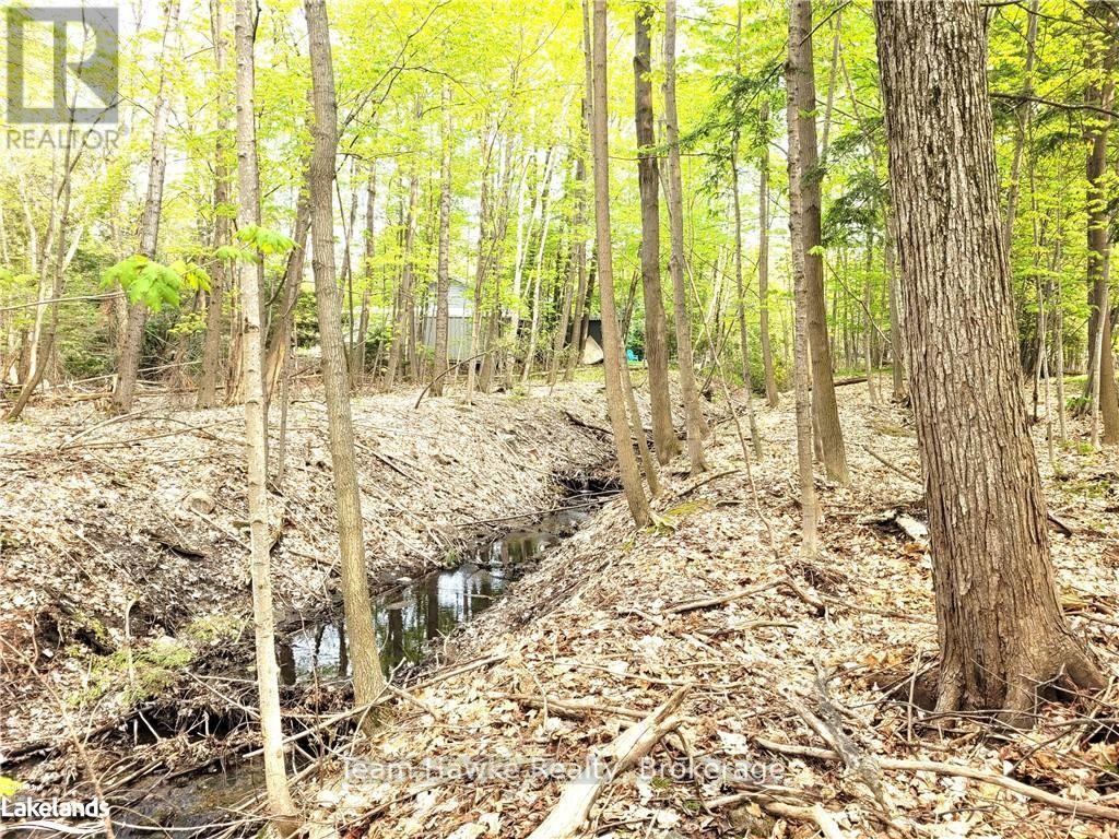Lot 504 Seneca Crescent, Tiny, Ontario  L9M 0C9 - Photo 3 - S12115344