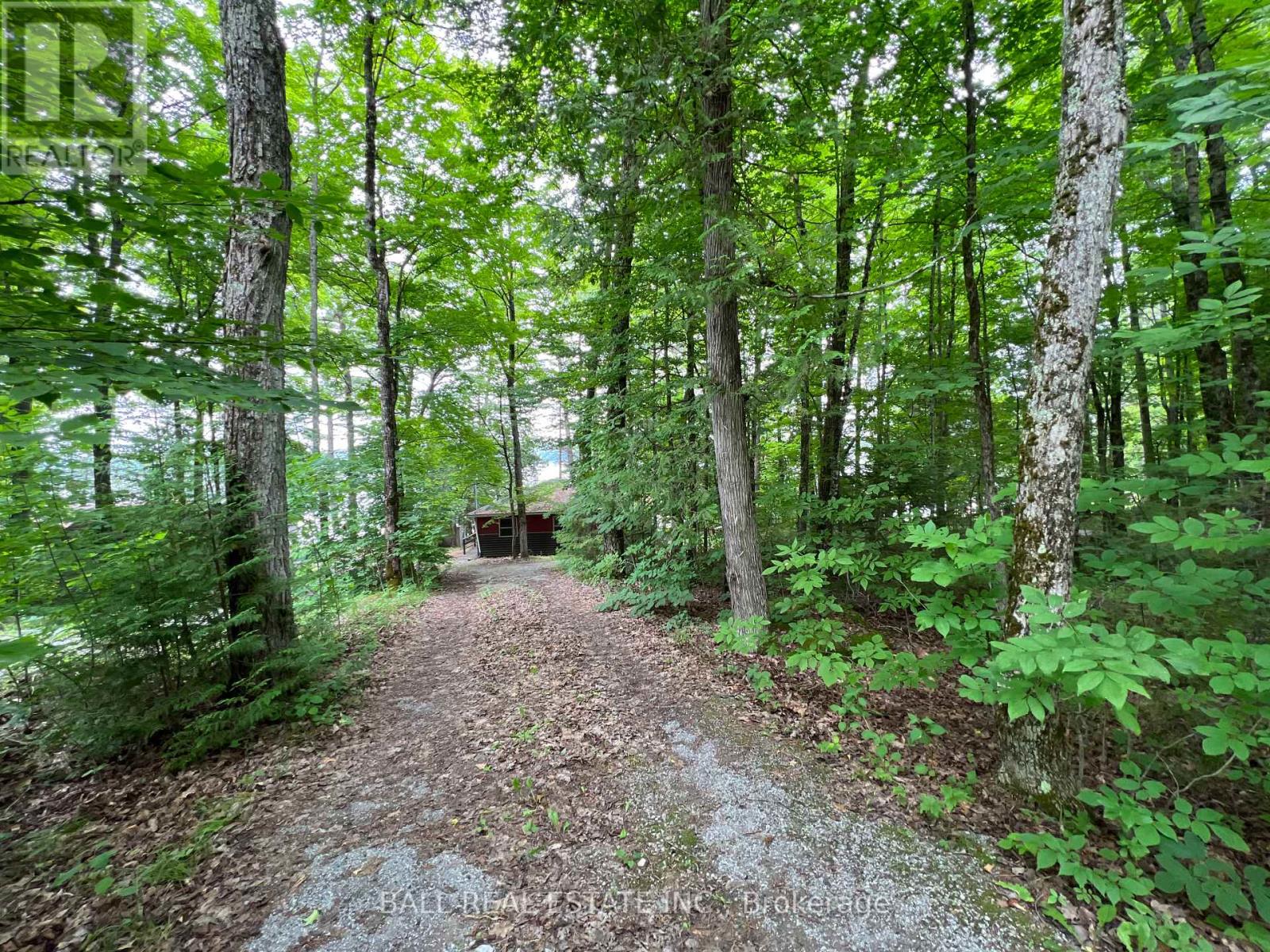 8 Fire Route 48a, Trent Lakes, Ontario K0L 1J0 - Photo 31 - X12115079