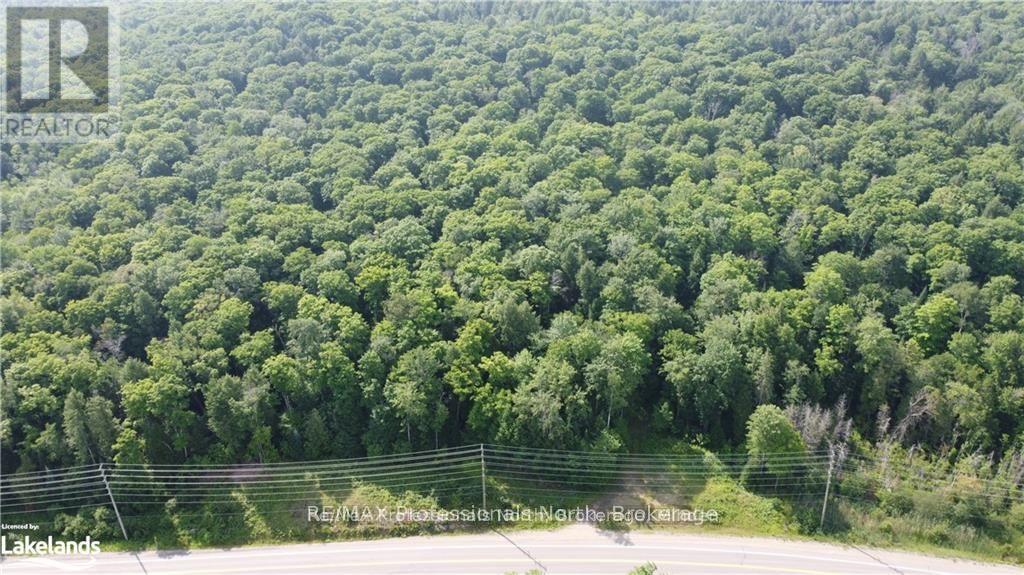 3944 County Road 21 Highway, Minden Hills, Ontario  K0M 2K0 - Photo 8 - X12115290