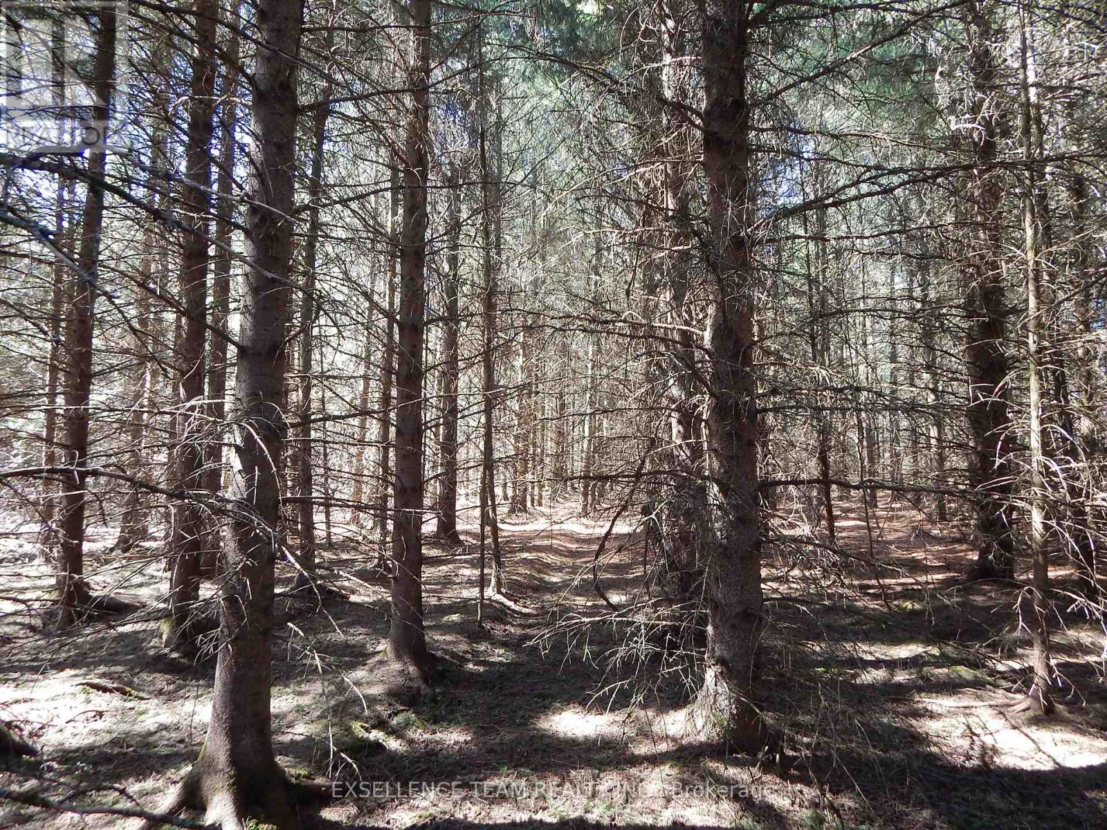 00 Raymond Road, South Stormont, Ontario  K0C 1Y0 - Photo 3 - X12115057