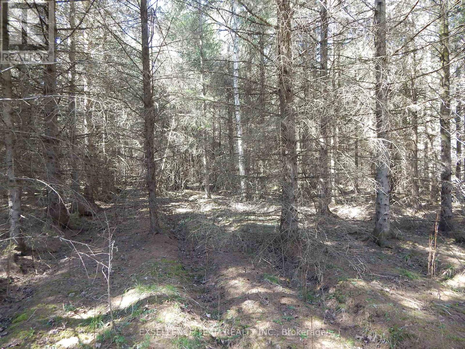 00 Raymond Road, South Stormont, Ontario  K0C 1Y0 - Photo 5 - X12115057