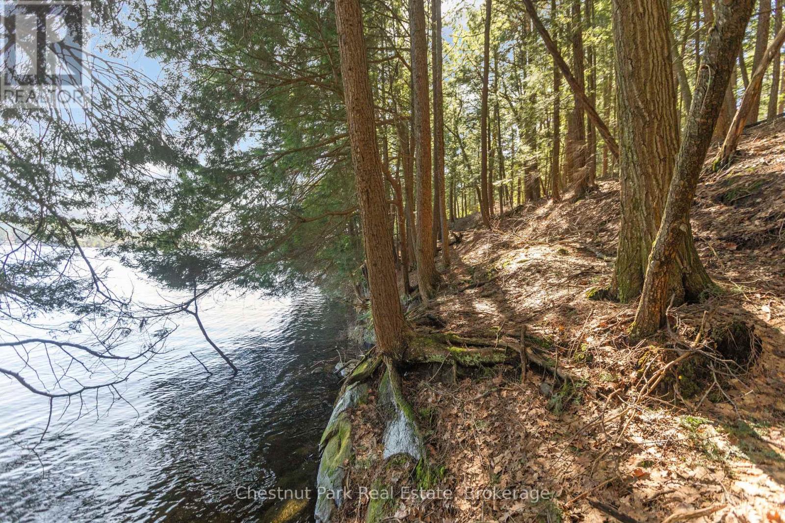 0 Chisholm Trail, Muskoka Lakes (Medora), Ontario  P0B 1J0 - Photo 6 - X12115400