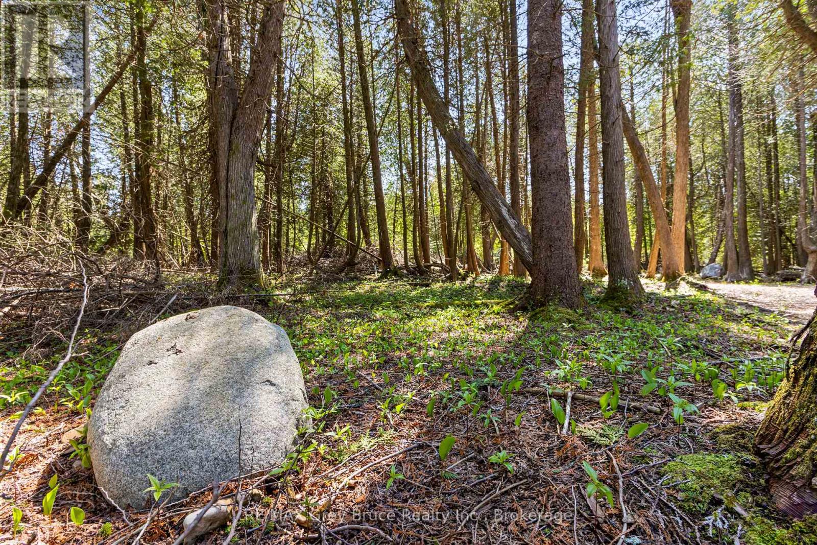 228 Corey Crescent, Northern Bruce Peninsula, Ontario  N0H 2R0 - Photo 15 - X12115442