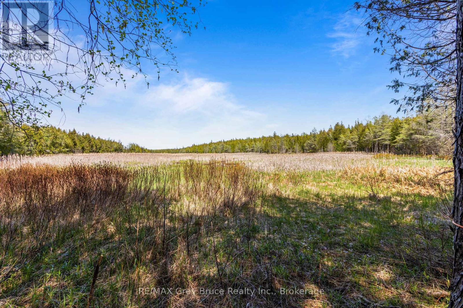 228 Corey Crescent, Northern Bruce Peninsula, Ontario  N0H 2R0 - Photo 19 - X12115442
