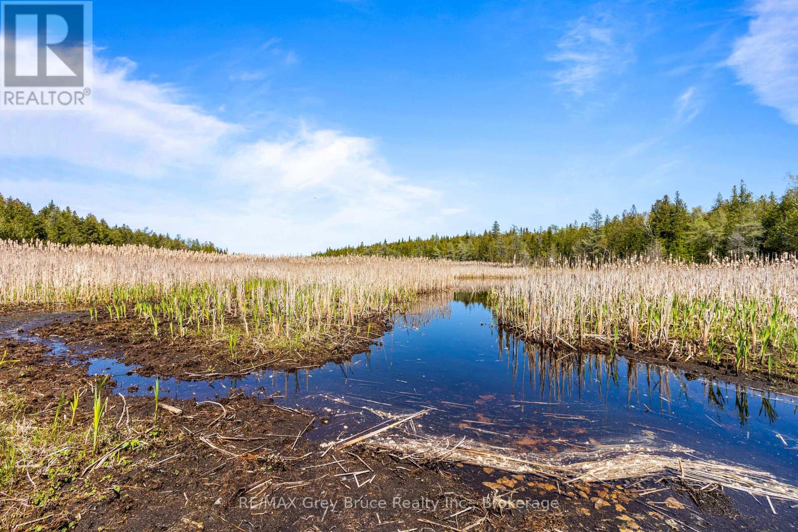 228 Corey Crescent, Northern Bruce Peninsula, Ontario  N0H 2R0 - Photo 22 - X12115442