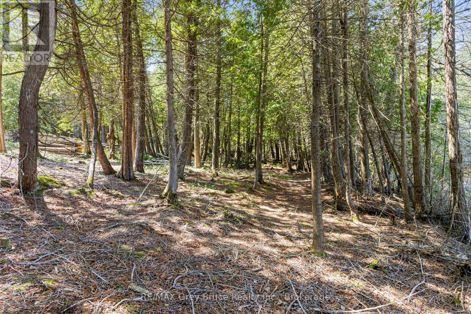 228 Corey Crescent, Northern Bruce Peninsula, Ontario  N0H 2R0 - Photo 24 - X12115442