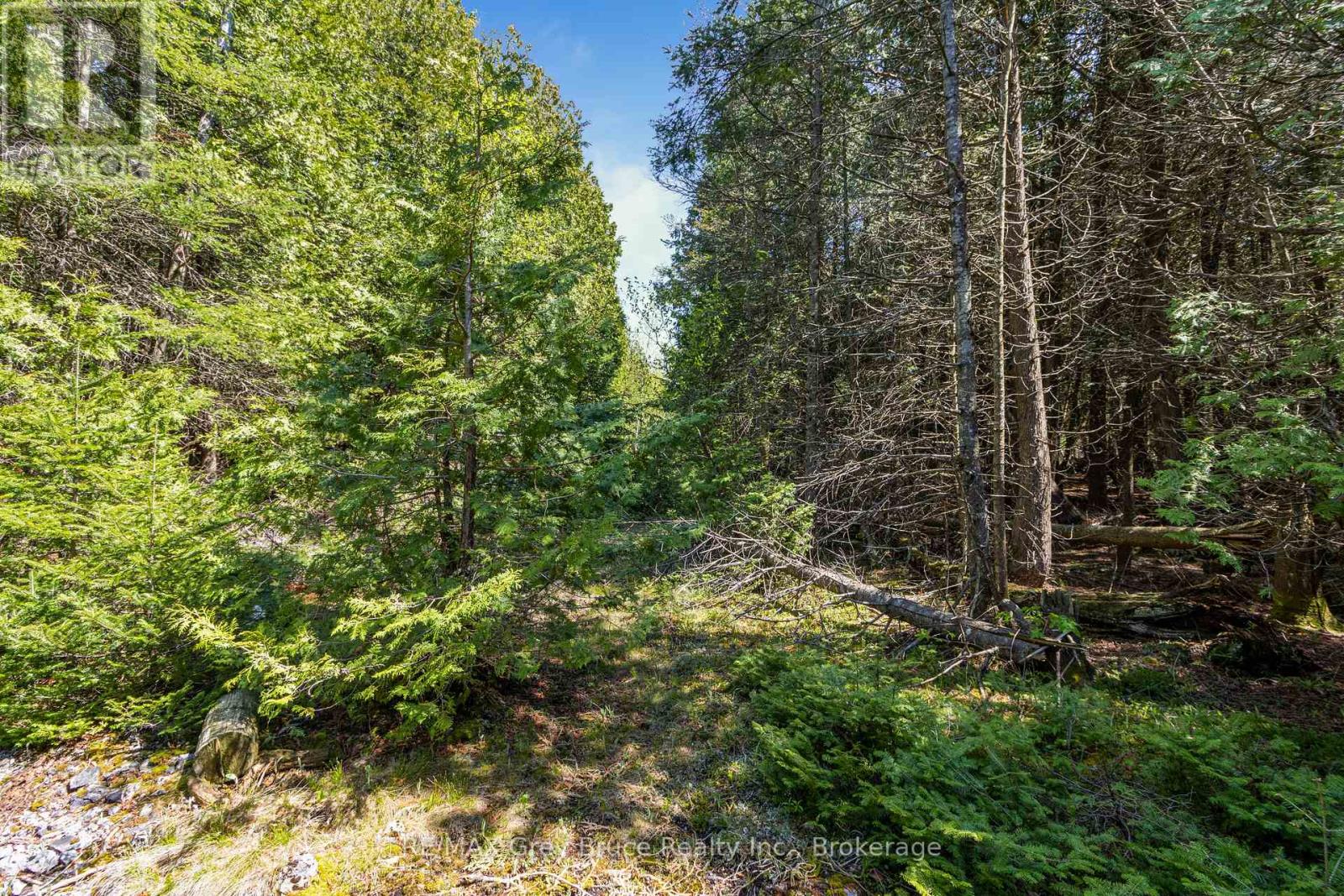228 Corey Crescent, Northern Bruce Peninsula, Ontario  N0H 2R0 - Photo 27 - X12115442