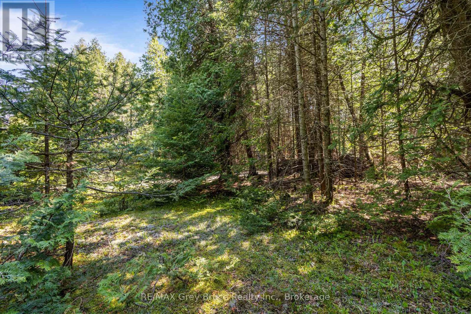 228 Corey Crescent, Northern Bruce Peninsula, Ontario  N0H 2R0 - Photo 29 - X12115442