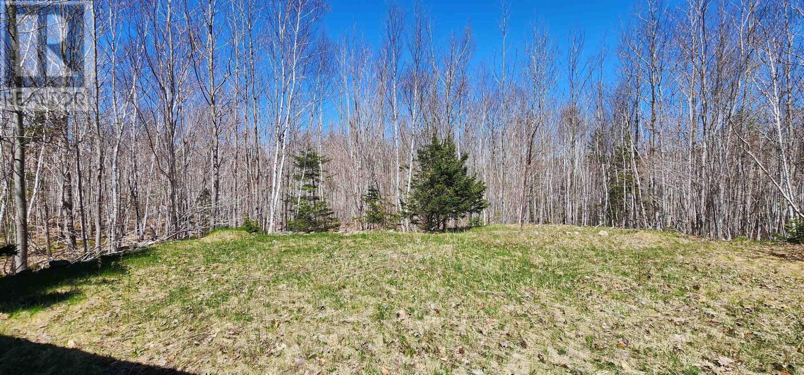 Lot 2 Grand Lake Road, Princedale, Nova Scotia  B0S 1A0 - Photo 17 - 202504254