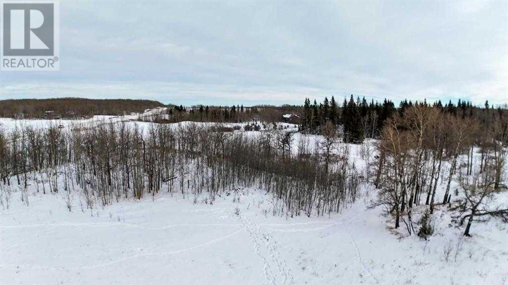 3, 15015 Township Road 424, Rural Ponoka County, Alberta  T0B 0H0 - Photo 10 - A2216613