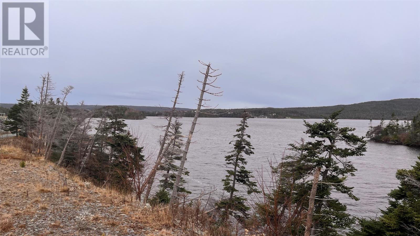 3 Aidens Careys Road, Cape Broyle, Newfoundland & Labrador  A0A 1P0 - Photo 12 - 1284361