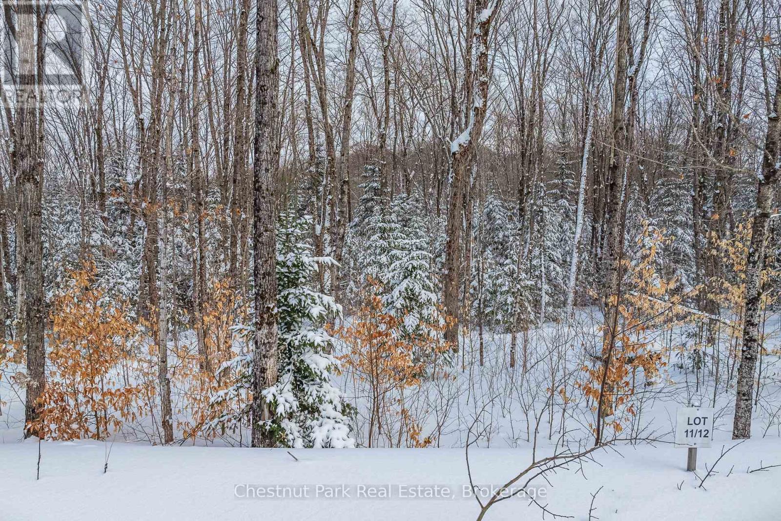 Lot 11 Millie's Way, Armour, Ontario  P0A 1C0 - Photo 4 - X12115843