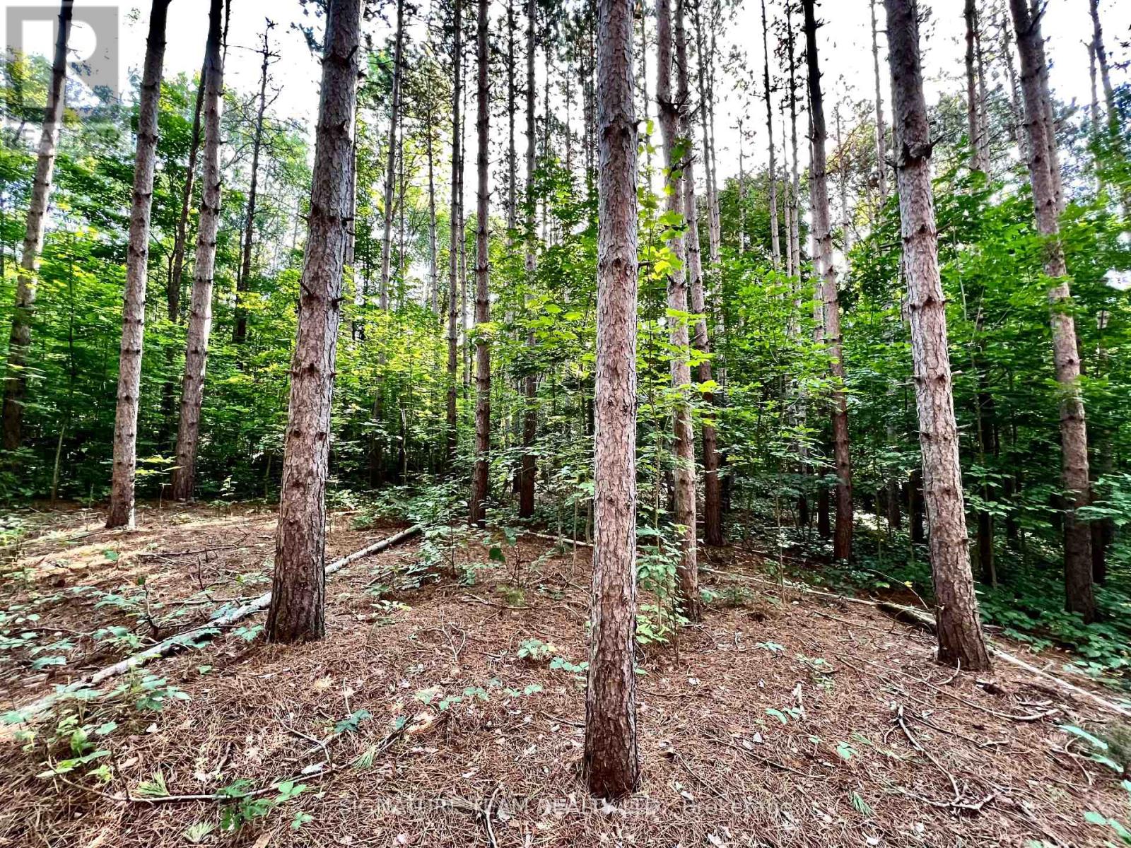 0 Elgin Street, Bonnechere Valley, Ontario  K0J 1T0 - Photo 19 - X12115814