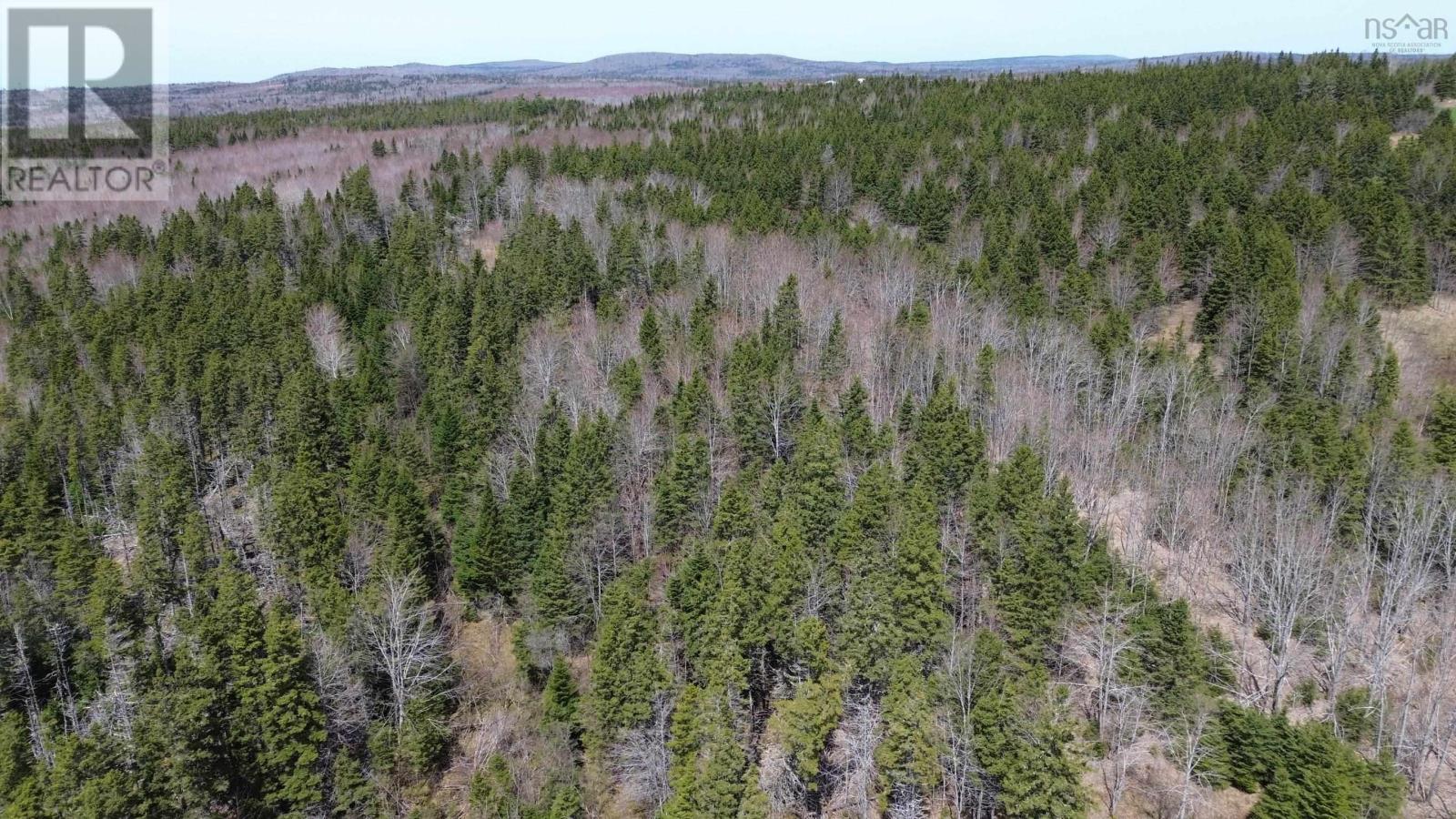 Lot David Street, Port Hastings, Nova Scotia  B0E 1P0 - Photo 1 - 202425589