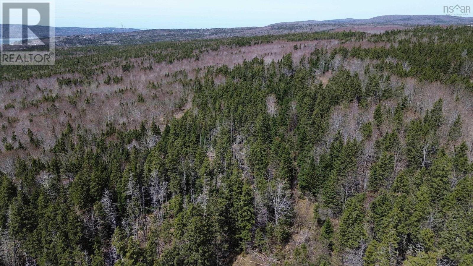 Lot David Street, Port Hastings, Nova Scotia  B0E 1P0 - Photo 10 - 202425589