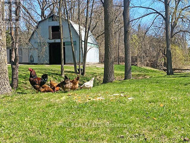 7454 Old Church Road, Caledon, Ontario  L7C 0H5 - Photo 2 - W12115407
