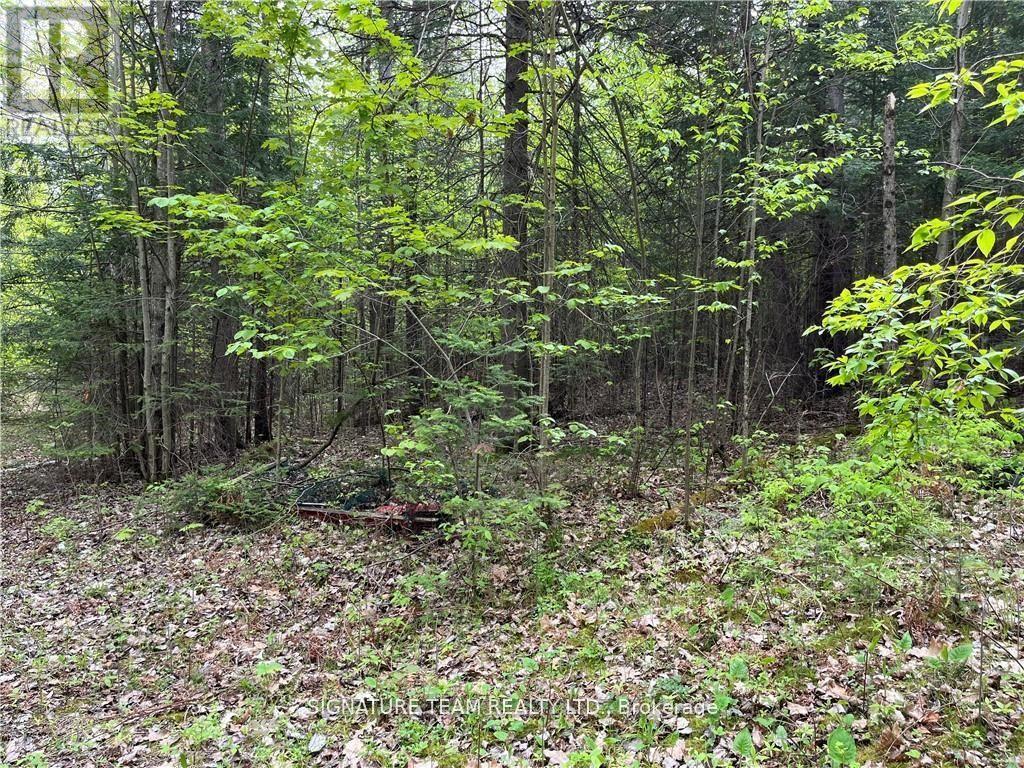 122 Western Drive, Bonnechere Valley, Ontario  K0J 1T0 - Photo 17 - X12082928