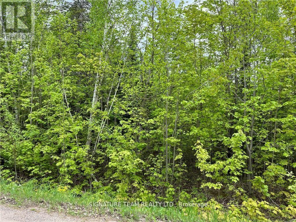 122 Western Drive, Bonnechere Valley, Ontario  K0J 1T0 - Photo 5 - X12082928