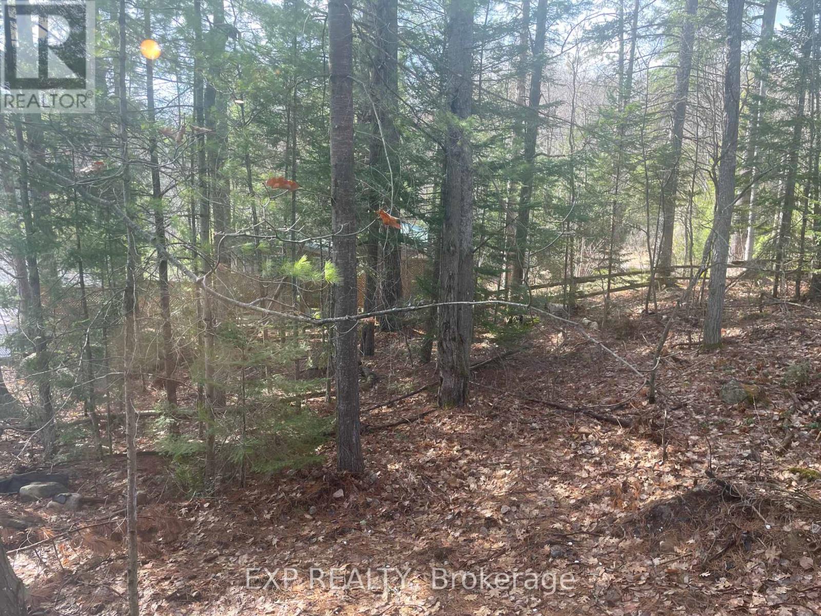 378 Spectacle Lake Road, Madawaska Valley, Ontario  K0J 1B0 - Photo 19 - X12115965