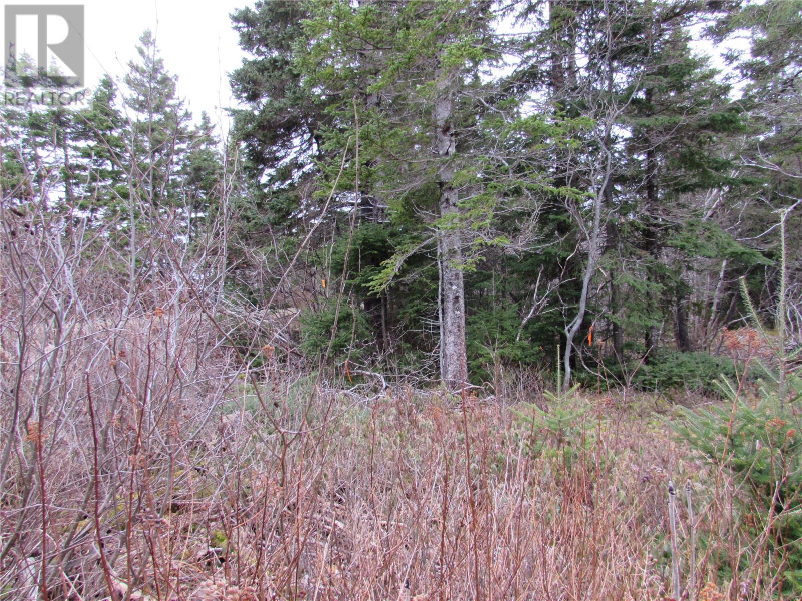 15-23 Bally Hack Road, Avondale, Newfoundland & Labrador  A0A 1B0 - Photo 7 - 1280542