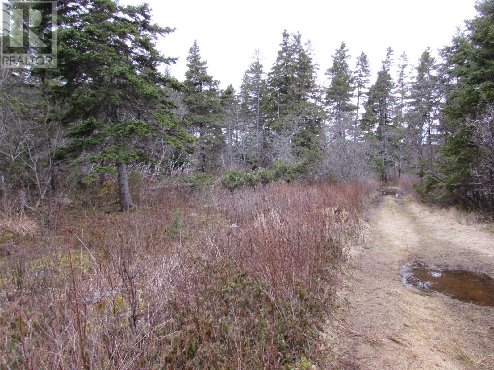 15-23 Bally Hack Road, Avondale, Newfoundland & Labrador  A0A 1B0 - Photo 8 - 1280542