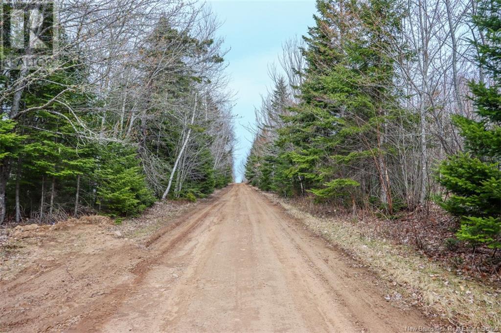 161 Fisher Hill, Bouctouche, New Brunswick  E4T 0A9 - Photo 6 - NB117477