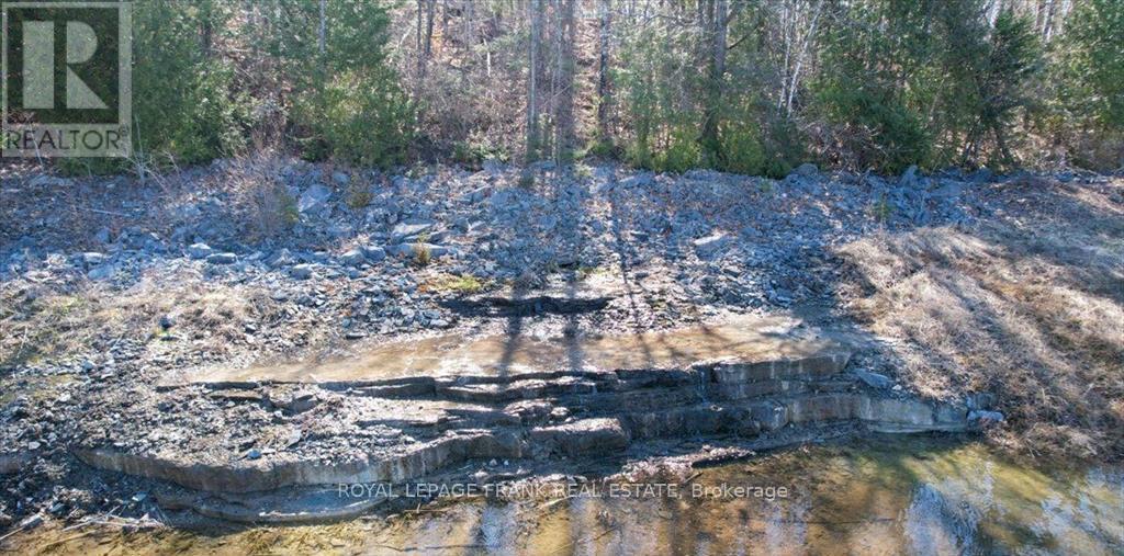 Ptlt 21 Conc 4, Douro-Dummer, Ontario K0L 3A0 - Photo 17 - X12072576