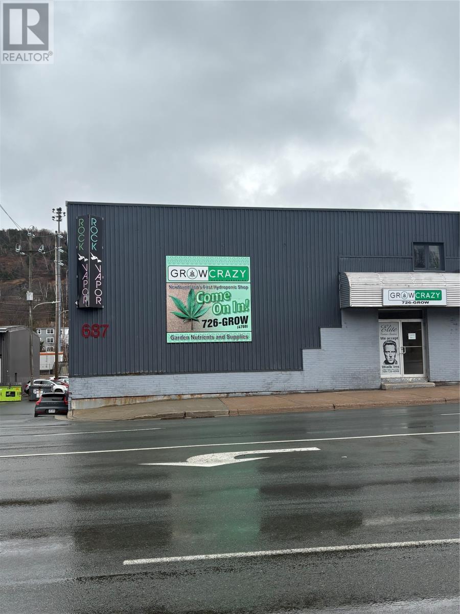 687 Water Street, St Johns, Newfoundland & Labrador  A1B 1C4 - Photo 4 - 1284410