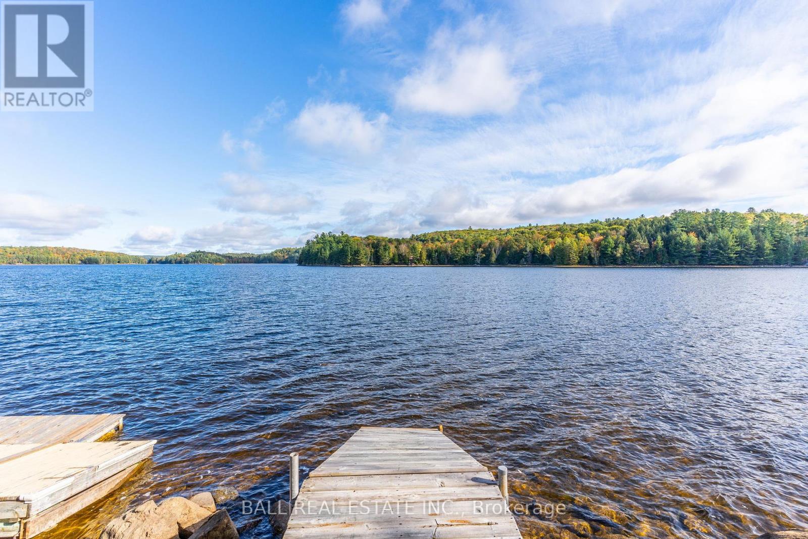 19181 Highway 35, Algonquin Highlands, Ontario  K0M 1S0 - Photo 42 - X12116027
