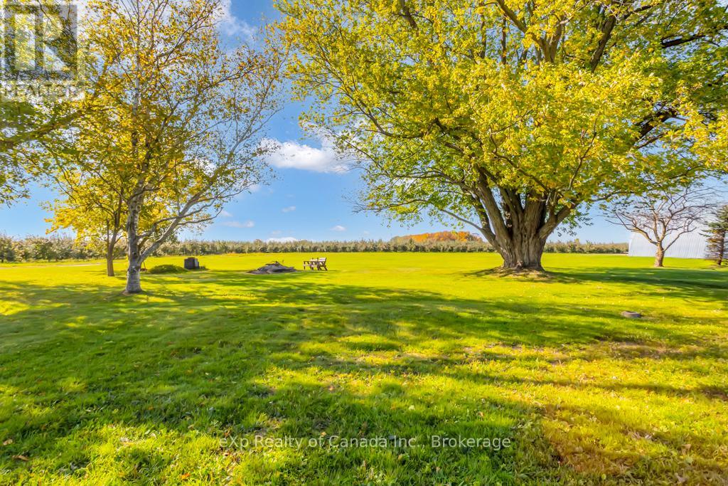 905 Blueline Road, Norfolk, Ontario N3Y 4K4 - Photo 43 - X12116122