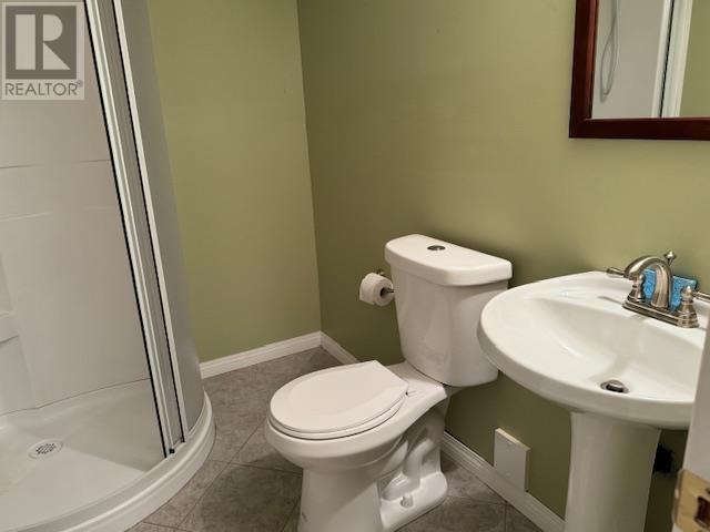 209 Caribou Cres, Thunder Bay, Ontario  P7C 5Z4 - Photo 24 - TB250944