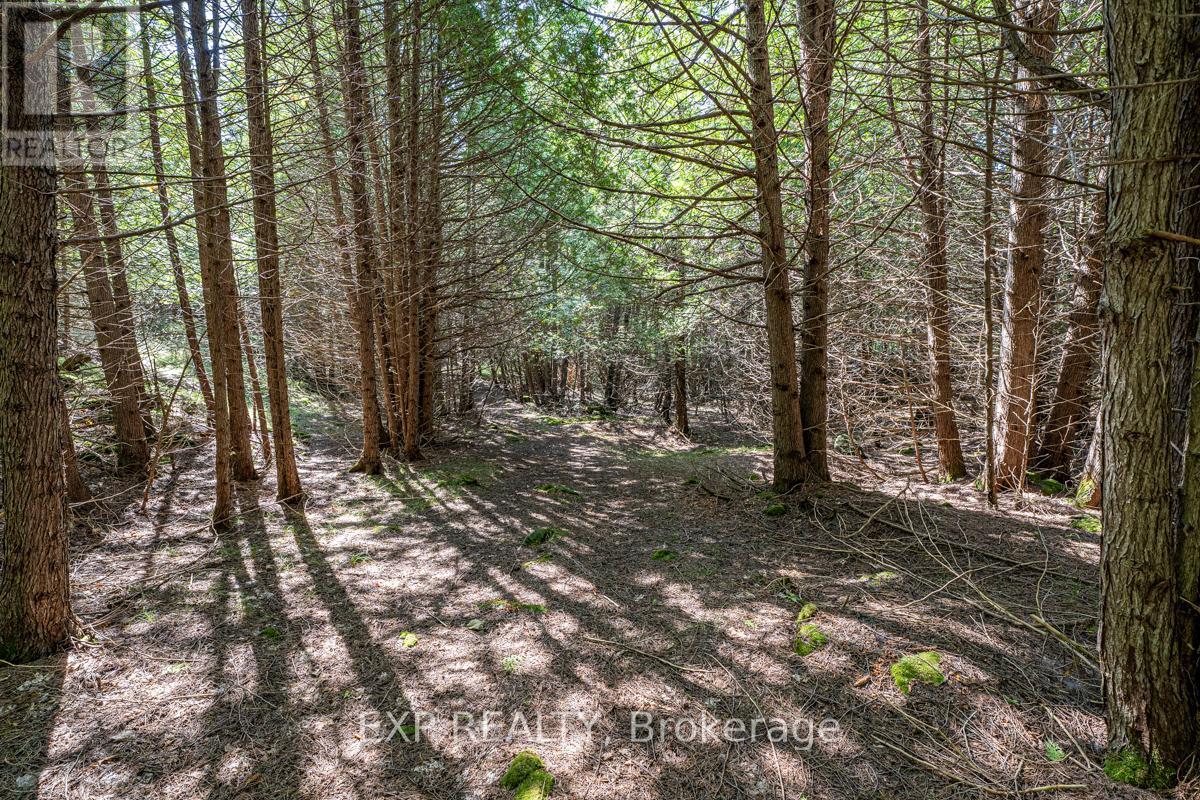 192 Gulf Road, Marmora And Lake, Ontario  K0K 2M0 - Photo 33 - X12116283