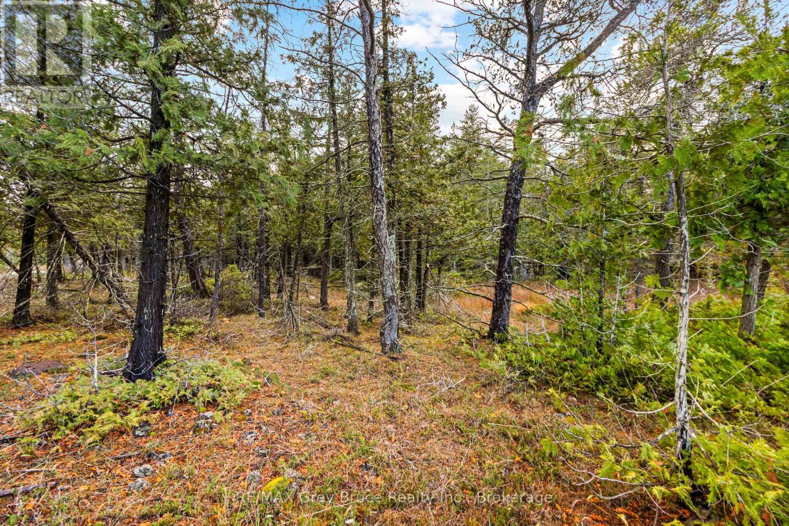 660 Dorcas Bay Road, Northern Bruce Peninsula, Ontario  N0H 2R0 - Photo 15 - X12116514