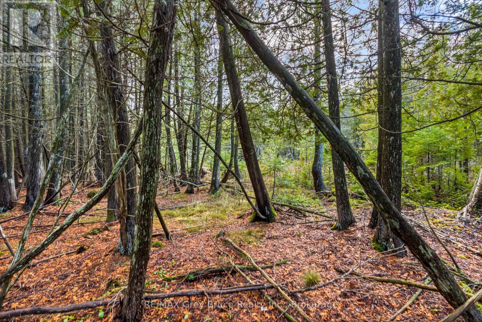 660 Dorcas Bay Road, Northern Bruce Peninsula, Ontario  N0H 2R0 - Photo 16 - X12116514