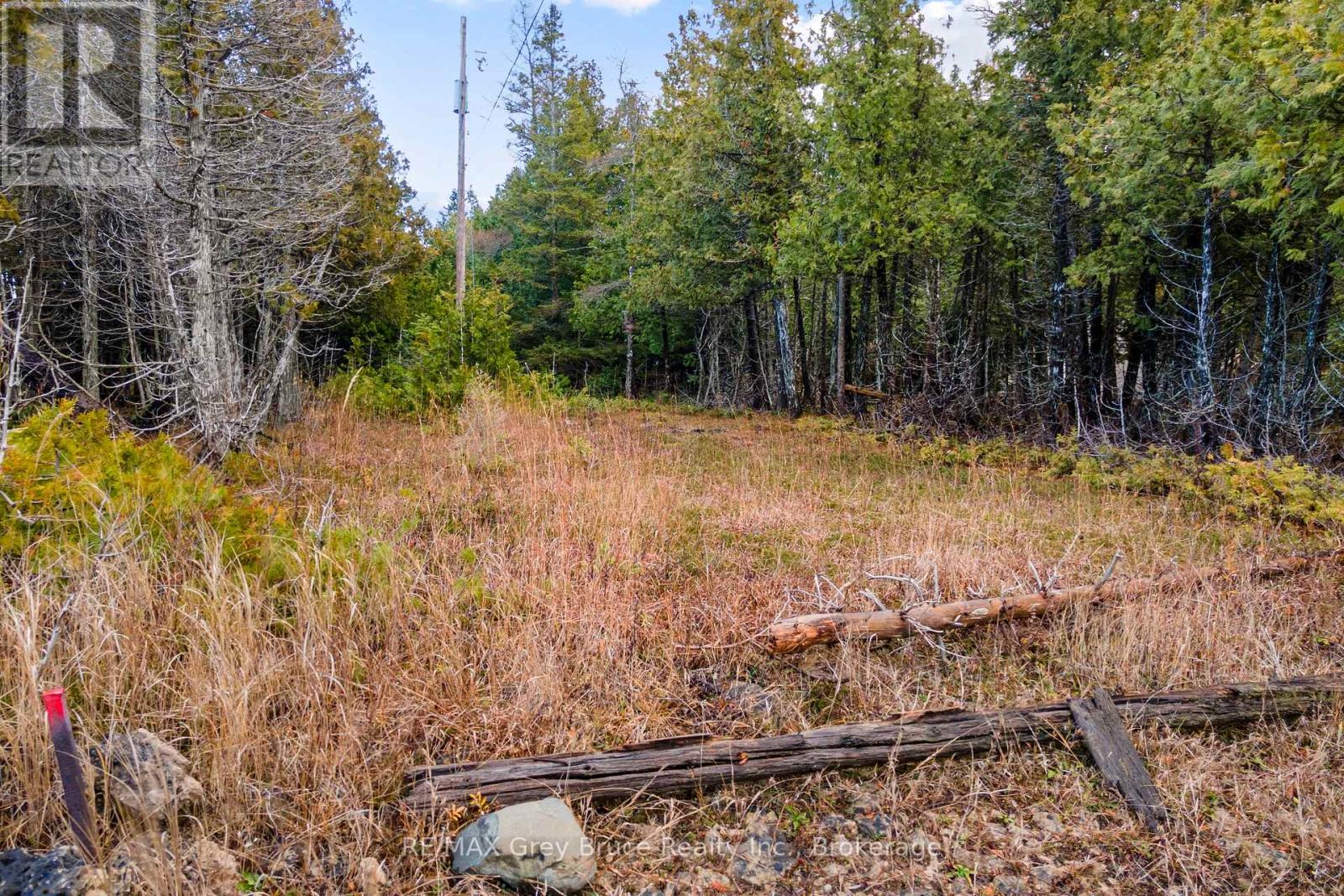 660 Dorcas Bay Road, Northern Bruce Peninsula, Ontario  N0H 2R0 - Photo 17 - X12116514