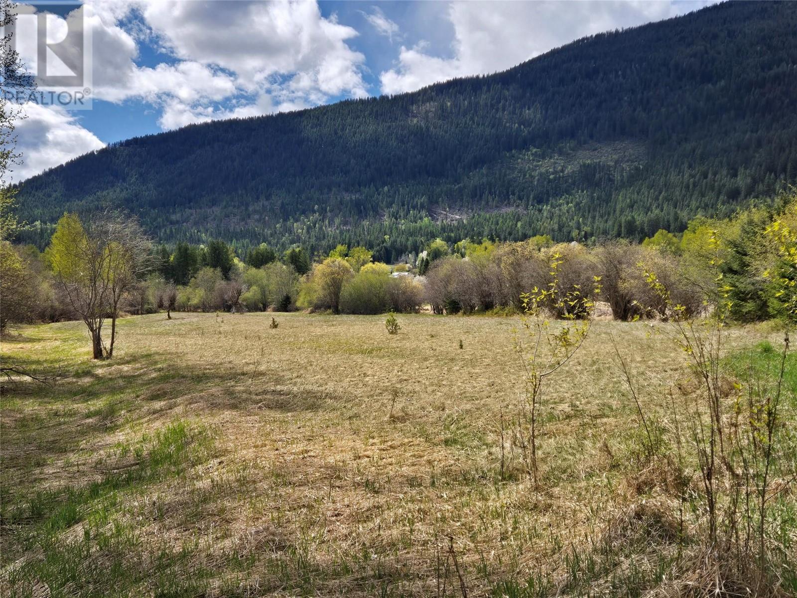 Parcel A Picard Road, Appledale, British Columbia  V0G 2J0 - Photo 3 - 10345863