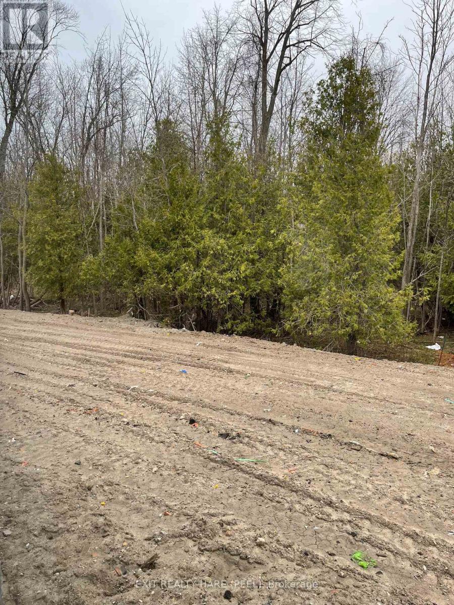 38 Amber Drive, Wasaga Beach, Ontario  L9Z 0R9 - Photo 21 - S12112573