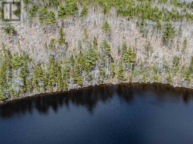 59 Hwy 308, East Quinan, Nova Scotia  B0W 3M0 - Photo 3 - 202509481