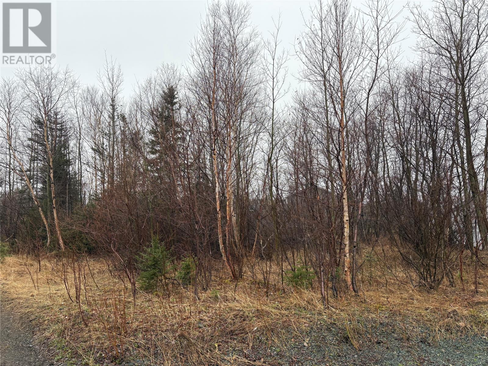 Property at 4 Aspen Street image