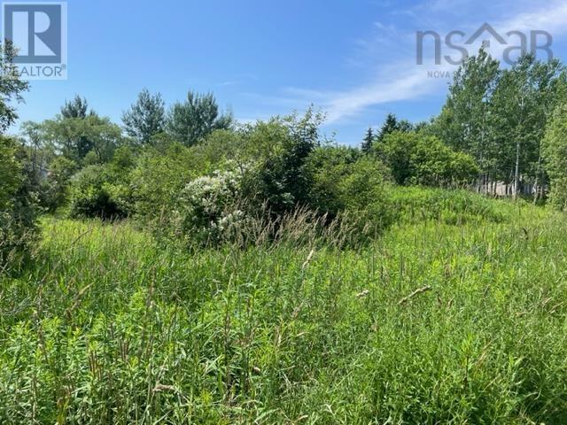 Lot 17 Hilltop Crescent, Baddeck, Nova Scotia  B0E 1B0 - Photo 1 - 202427984