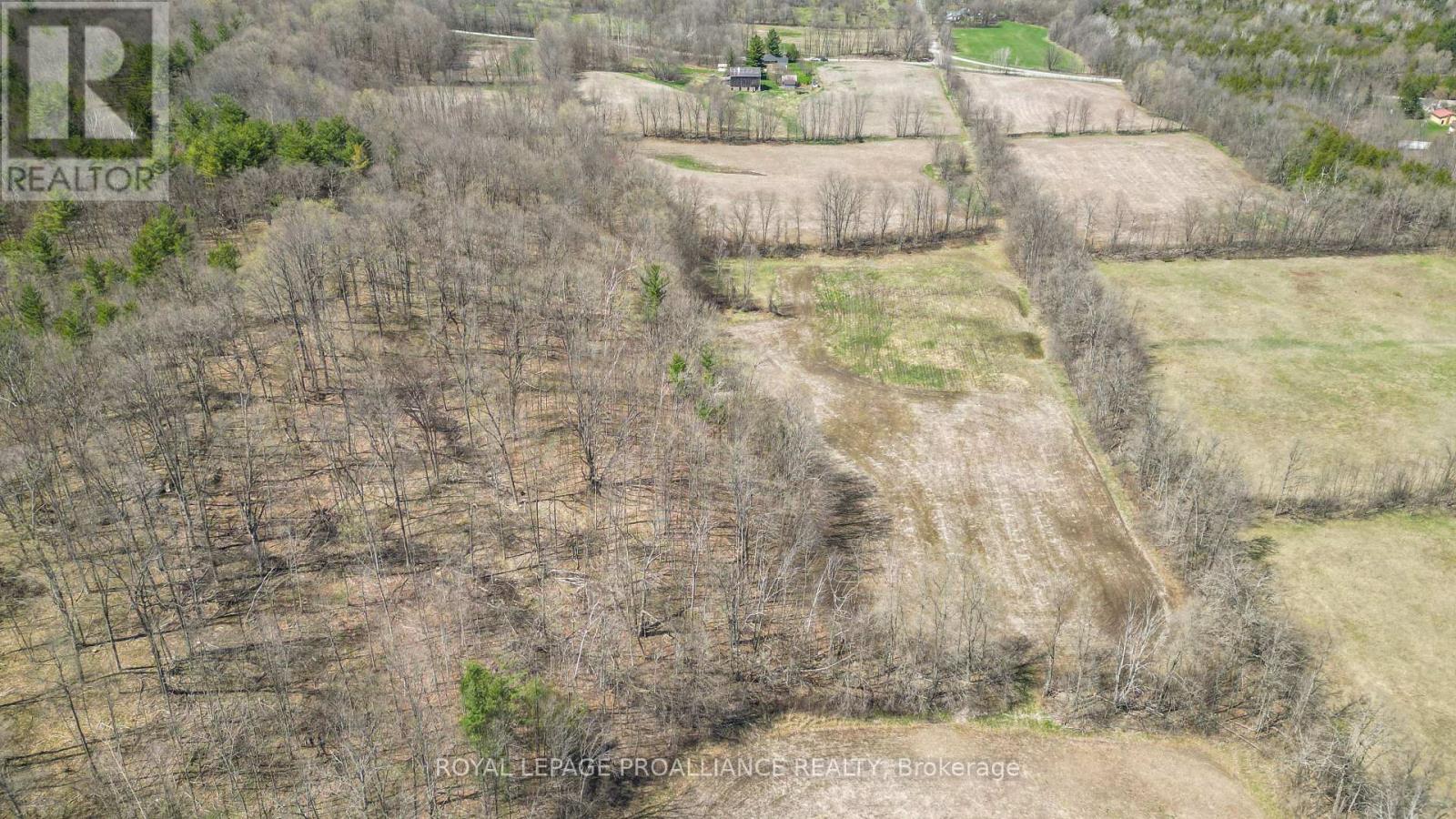 39 Palmateer Road, Tweed, Ontario K0K 3J0 - Photo 43 - X12116835