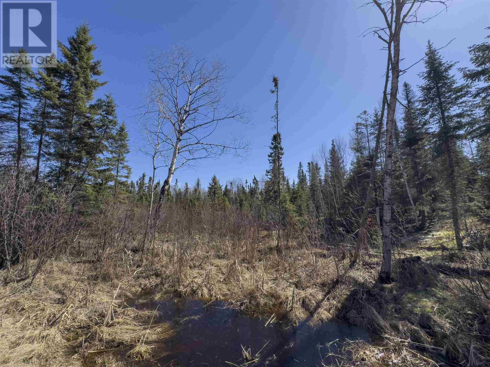 Part 4 Plan 23r15112 Hilly Lake Rd, Kenora, Ontario  P9N 3W8 - Photo 13 - TB250927