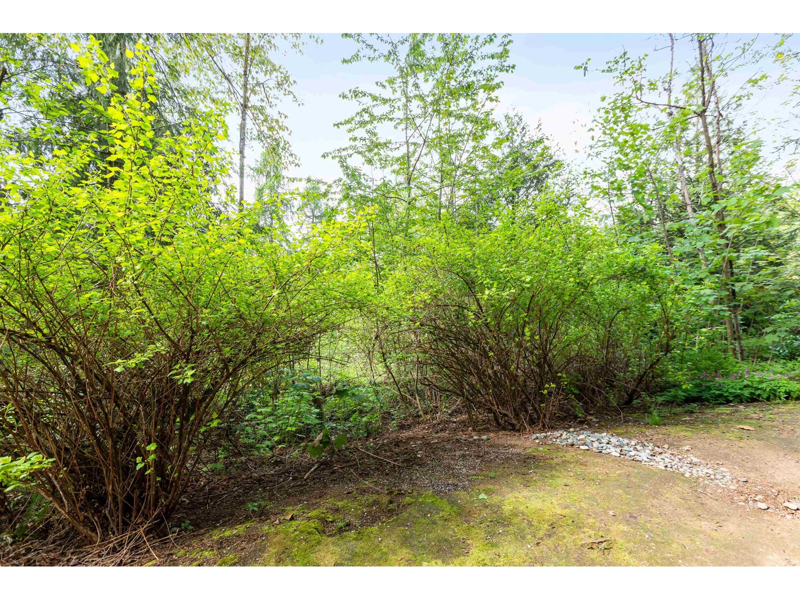 131 27358 32 Avenue, Langley, British Columbia  V4W 3M5 - Photo 25 - R2996952