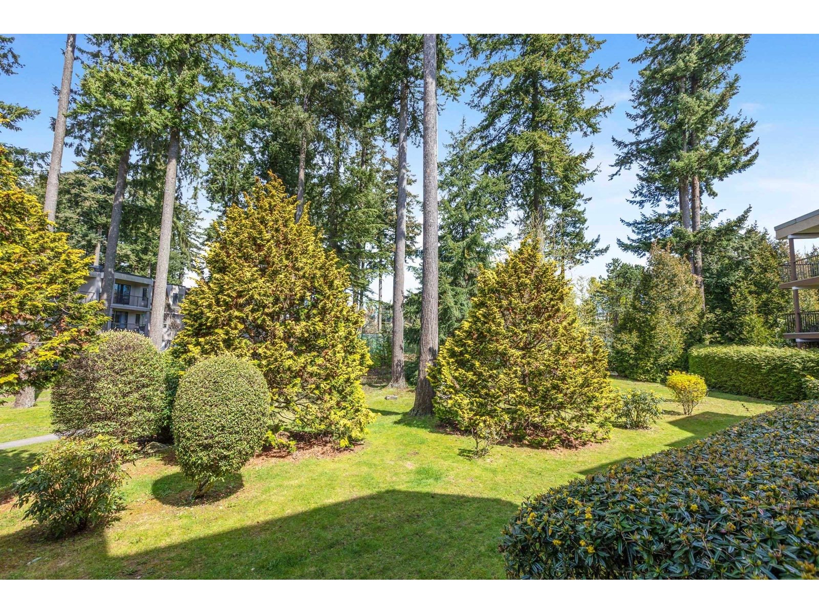 Property at 106 1720 SOUTHMERE CRESCENT image 4