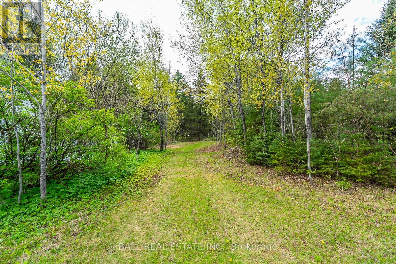 0 The Avenue, Kawartha Lakes, Ontario K0M 2A0 - Photo 15 - X12117508