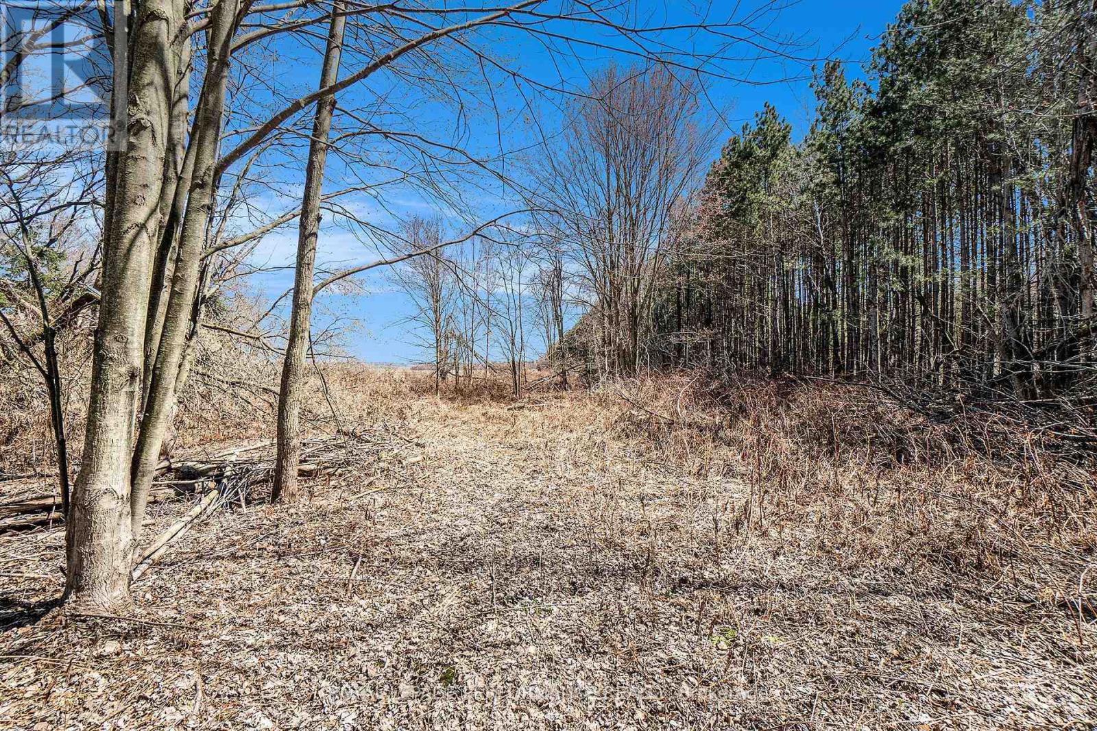 3383 Champlain Street, Clarence-Rockland, Ontario  K0A 1E0 - Photo 9 - X12117417
