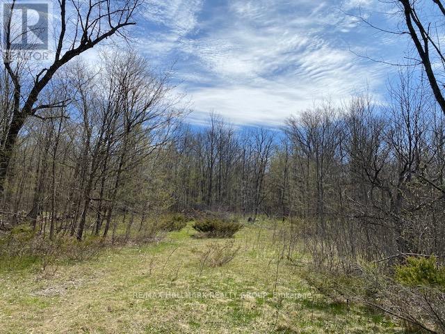 0 Moran Road, Rideau Lakes, Ontario  K0G 1L0 - Photo 8 - X12117473